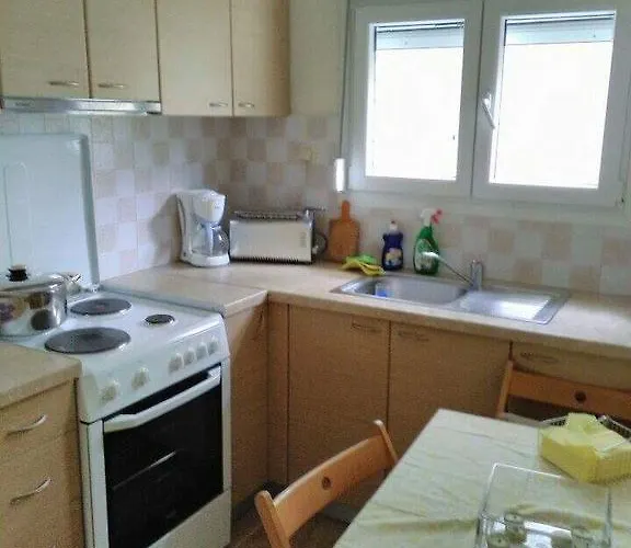 公寓 Despina's Néa Péramos